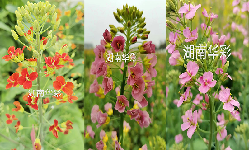 超生态的垂钓场所