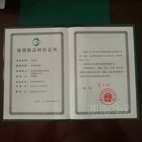 笑春风 植物新品种授权证书