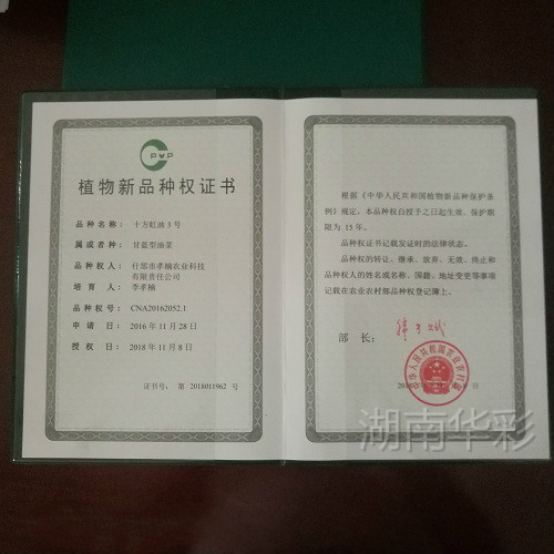 十方虹油3号 植物新品种授权证书