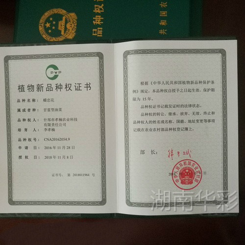 蝶恋花 植物新品种授权证书