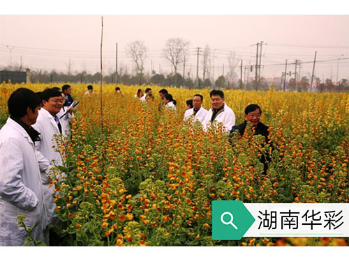 17年农业农村部现场审订