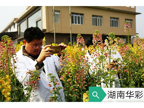 17年农业农村部现场审订