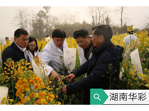 17年农业农村部现场审订