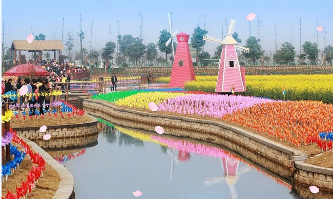 湖南省农业开发,常德茶油的开发,澧县油菜种植,大米研究