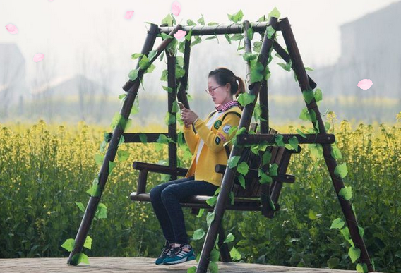 湖南省农业开发,常德茶油的开发,澧县油菜种植,大米研究