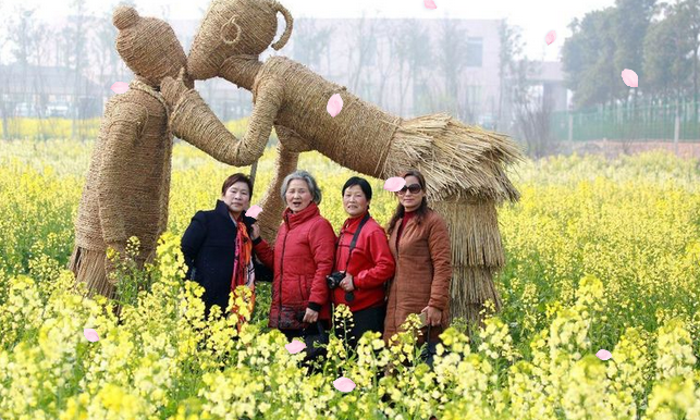湖南省农业开发,常德茶油的开发,澧县油菜种植,大米研究