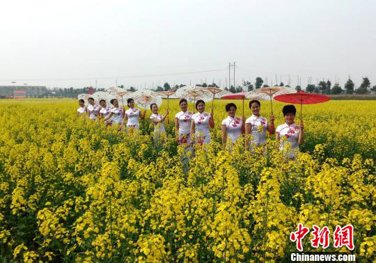 湖南省农业开发,常德茶油的开发,澧县油菜种植,大米研究