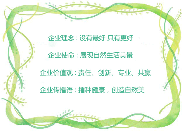 彩色油菜花的研究与开发推广