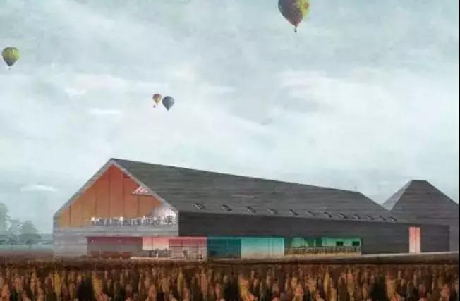 彩色油菜花的研究与开发推广 彩色油菜花的研究与开发推广