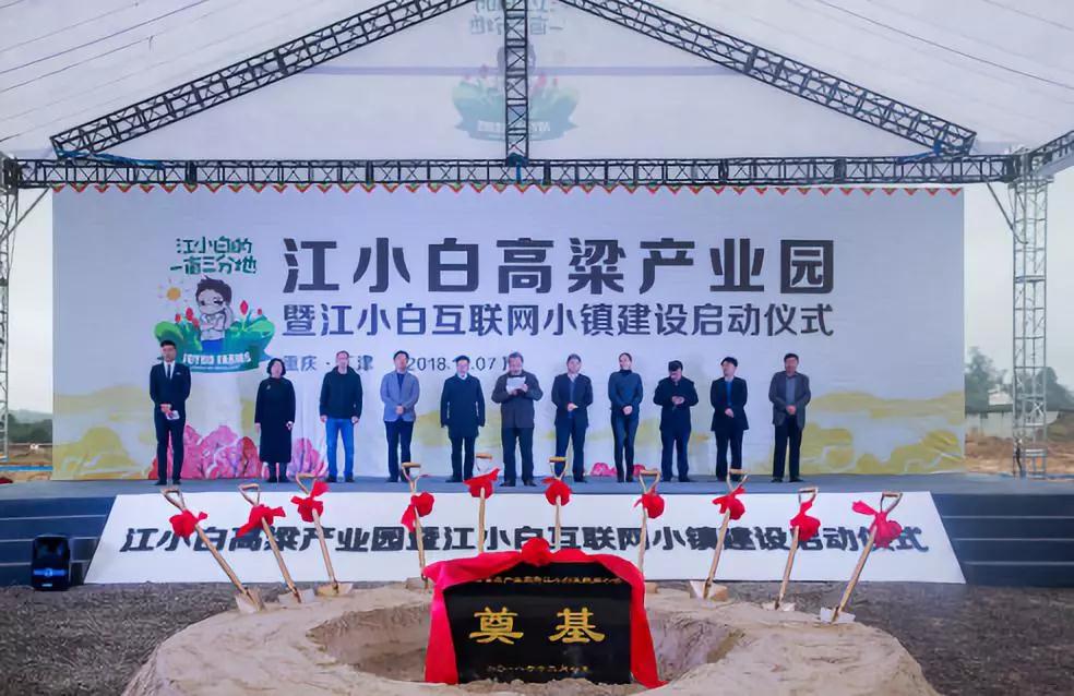 彩色油菜花的研究与开发推广 彩色油菜花的研究与开发推广