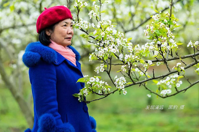 彩色油菜花的研究与开发推广 彩色油菜花的研究与开发推广